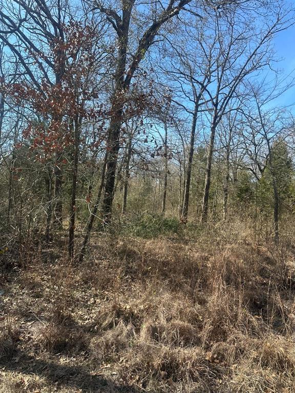 176 Oak Trail Property Photo 3