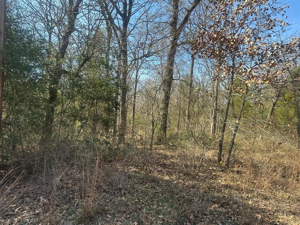 207 S Cherokee Shores Drive Property Photo 1