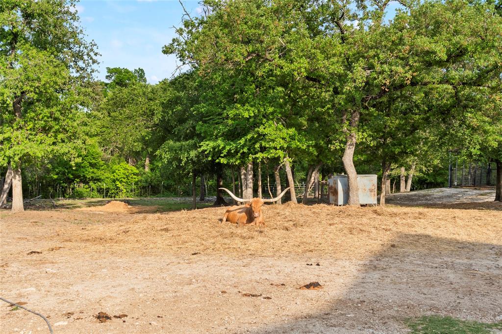 7401 Hilltop Drive Property Photo 38