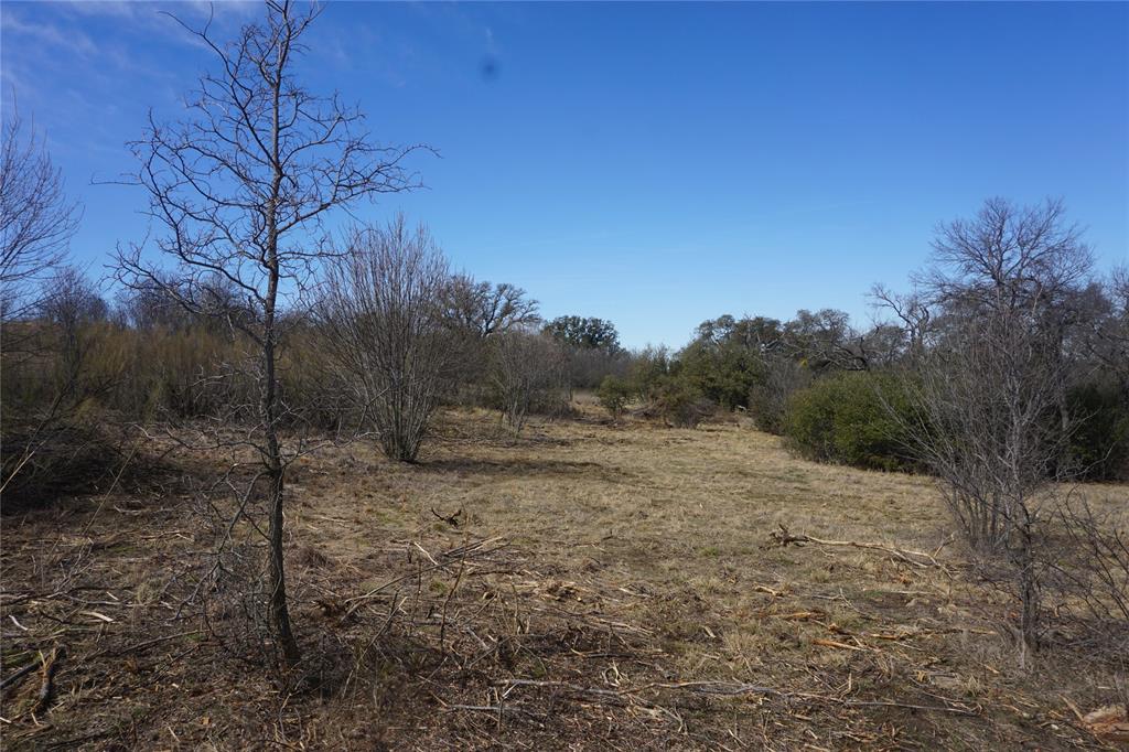 Lot 296 Shooting Star Property Photo 10