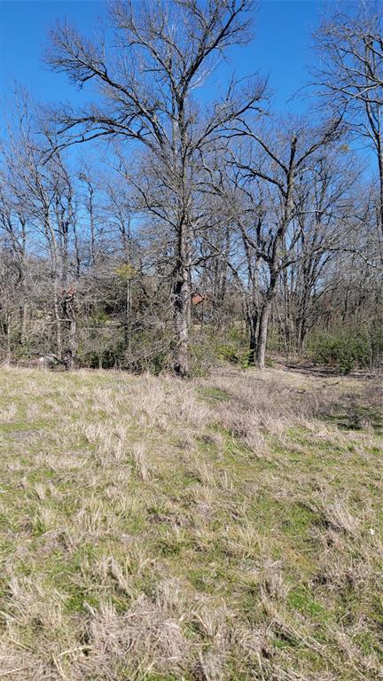 655 Ewing Road Property Photo 4