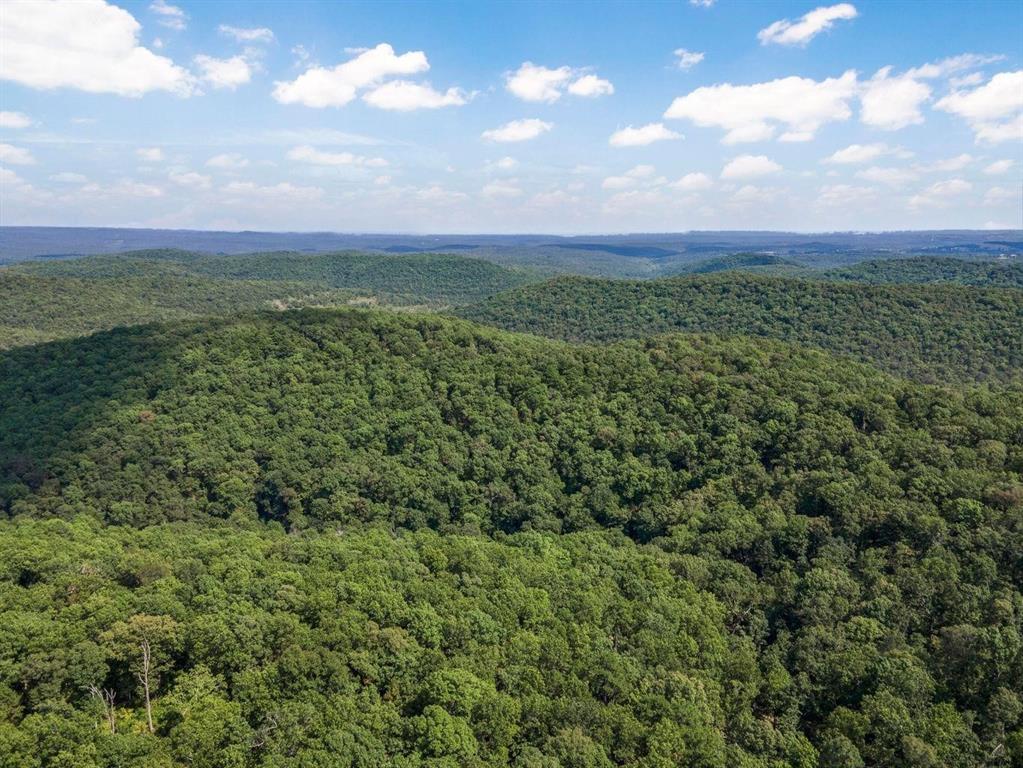 3405 State Hwy Jj Property Photo 5