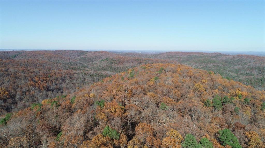 3405 State Hwy Jj Property Photo 7