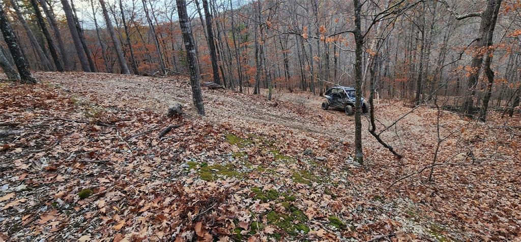 3405 State Hwy Jj Property Photo 16