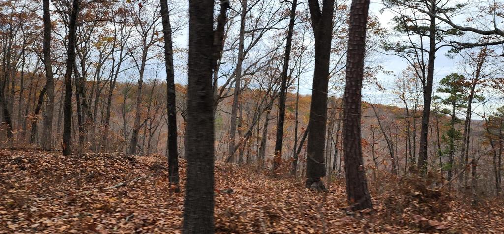 3405 State Hwy Jj Property Photo 17