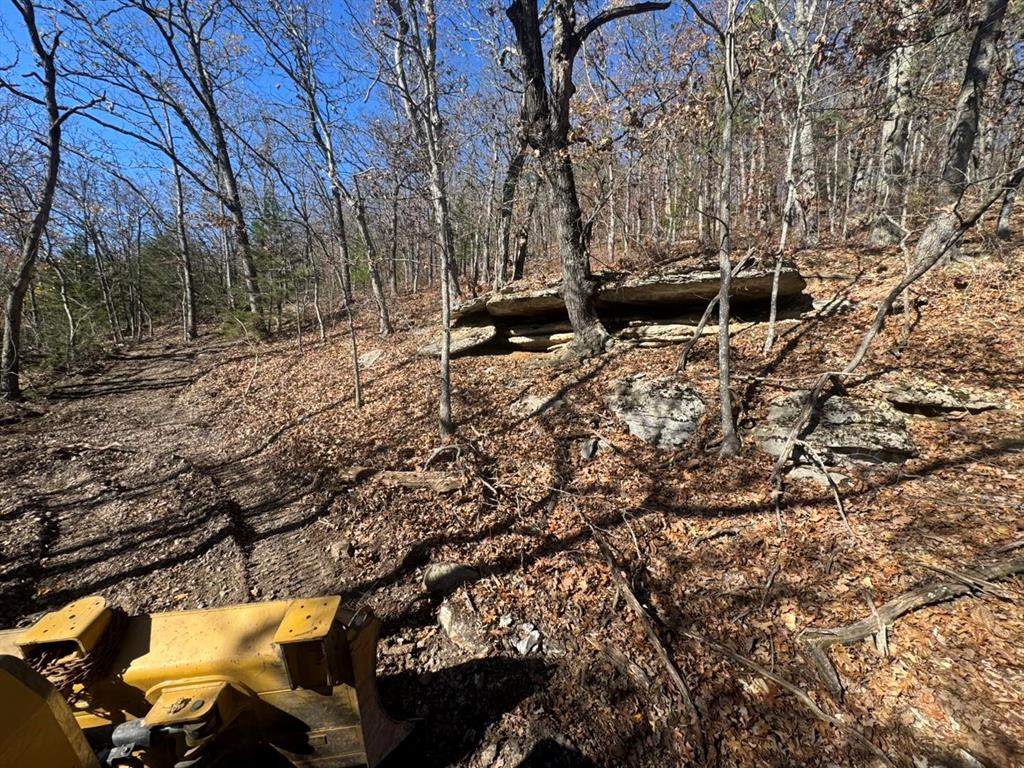 3405 State Hwy Jj Property Photo 26