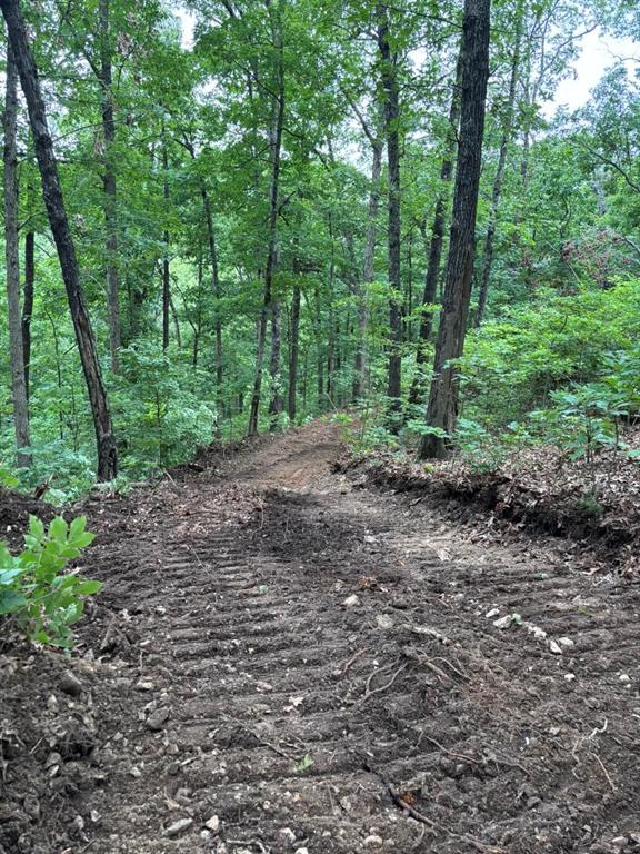 3405 State Hwy Jj Property Photo 29