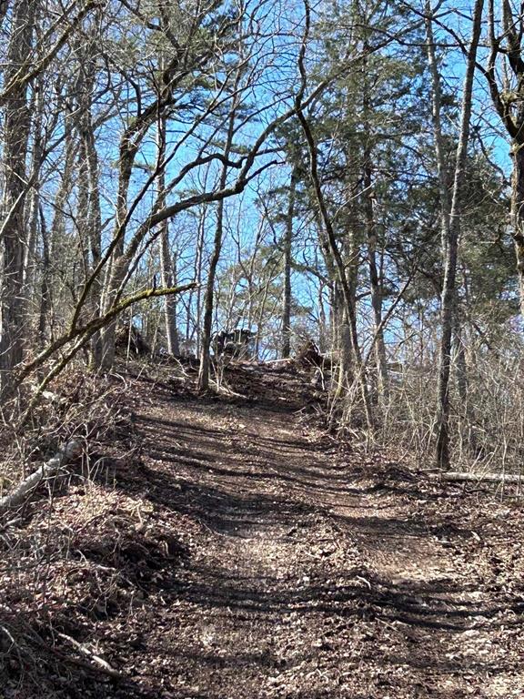3405 State Hwy Jj Property Photo 31