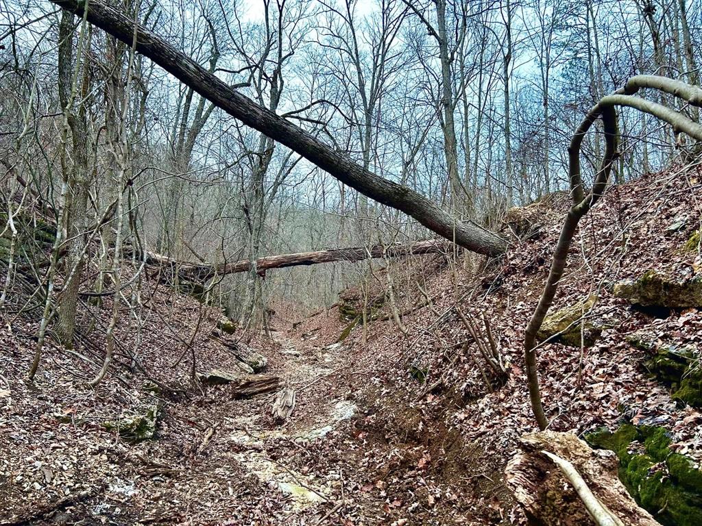 3405 State Hwy Jj Property Photo 32