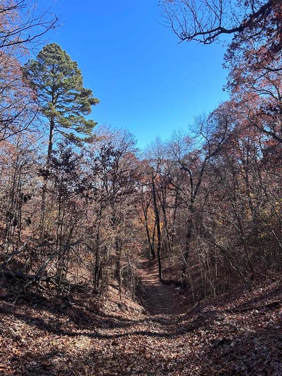 3405 State Hwy Jj Property Photo 38