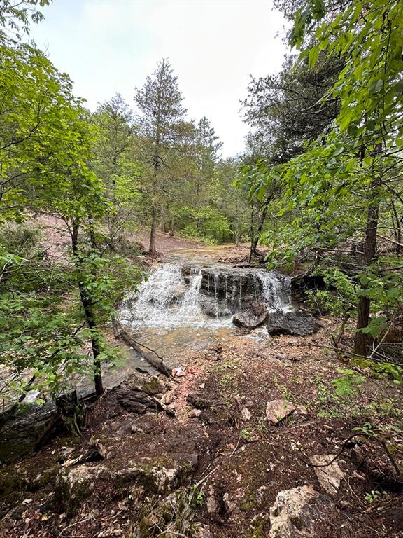 3405 State Hwy Jj Property Photo 39