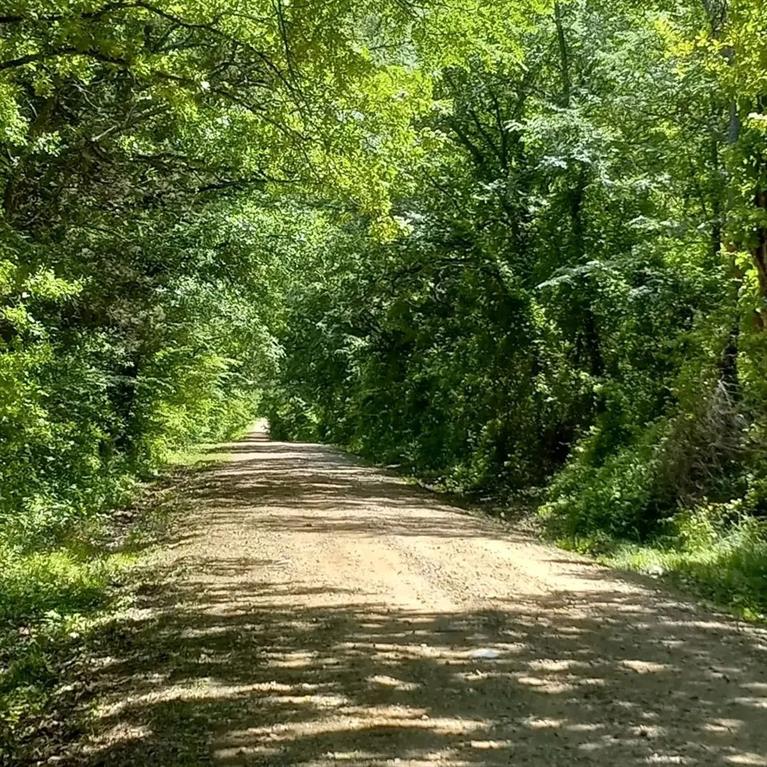32 Acres County Road 2425 Property Photo 1