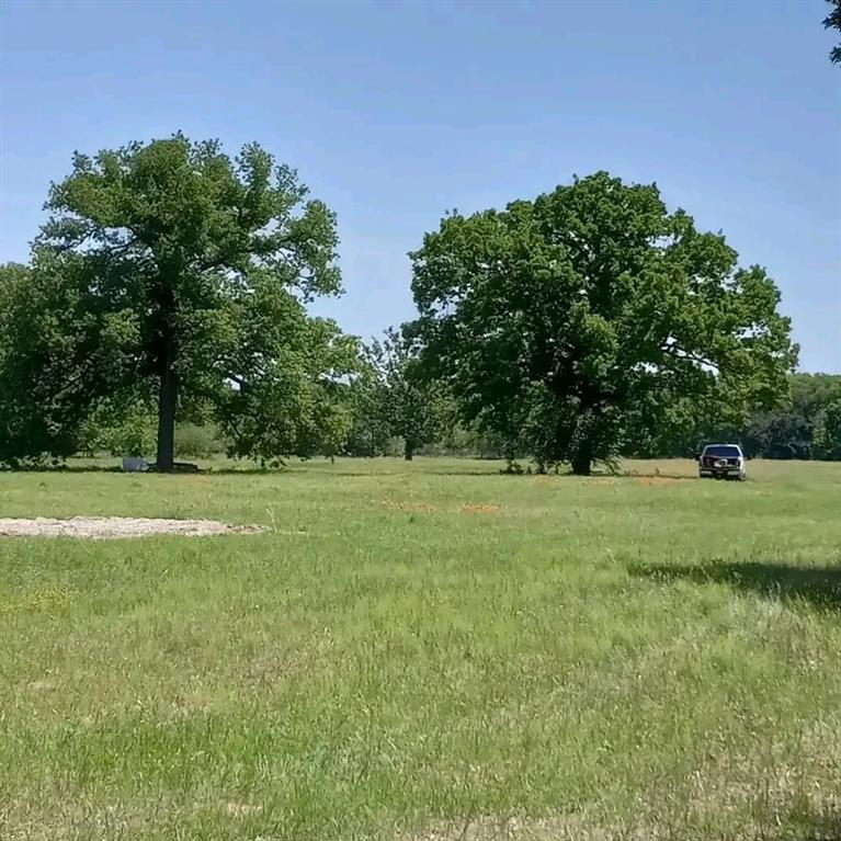 32 Acres County Road 2425 Property Photo 3