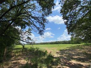 32 Acres County Road 2425 Property Photo 6