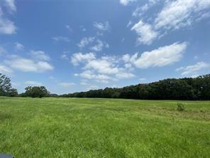 32 Acres County Road 2425 Property Photo 7