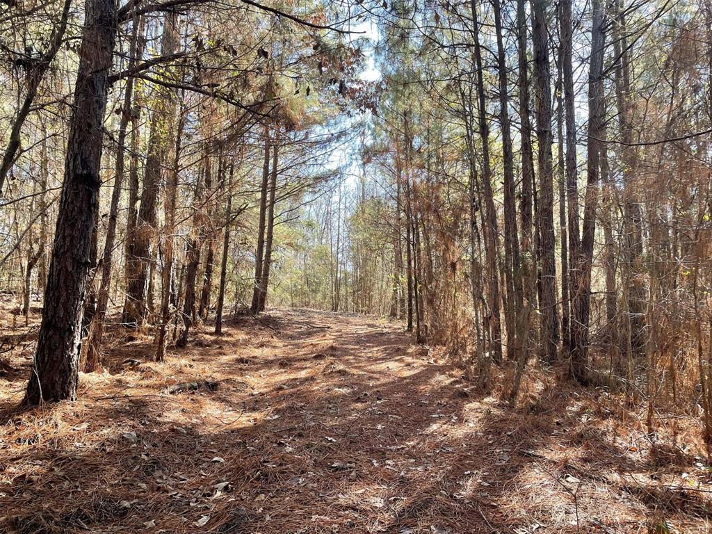 17584 Fm 1252 Property Photo 2