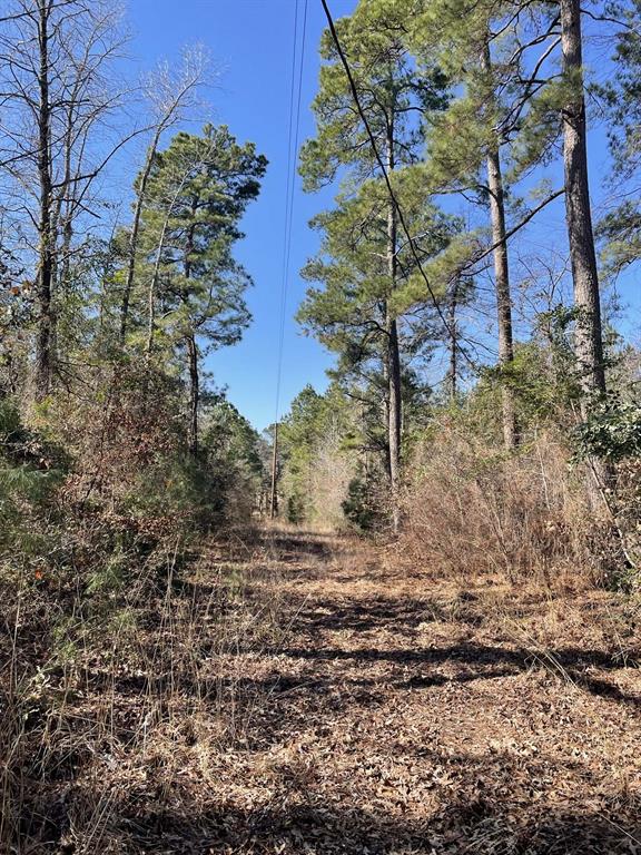 17584 Fm 1252 Property Photo 5