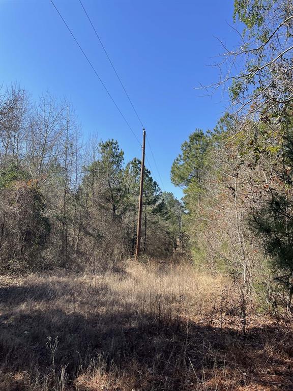 17584 Fm 1252 Property Photo 6