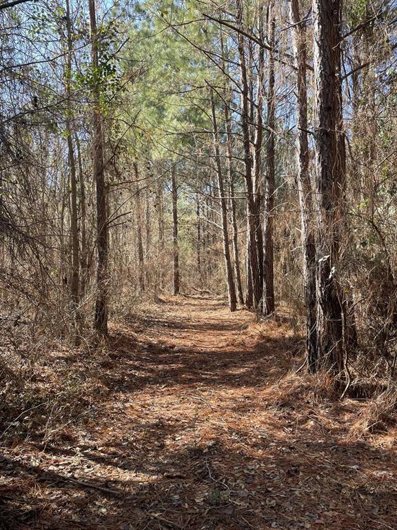 17584 Fm 1252 Property Photo 7
