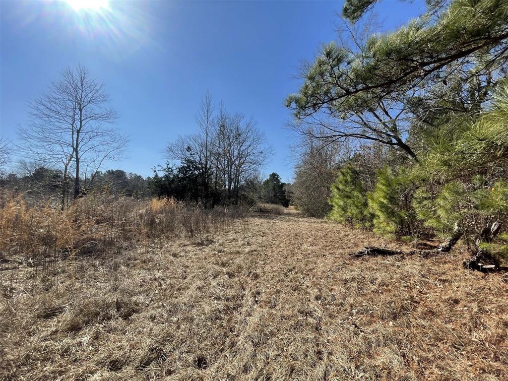 17584 Fm 1252 Property Photo 8