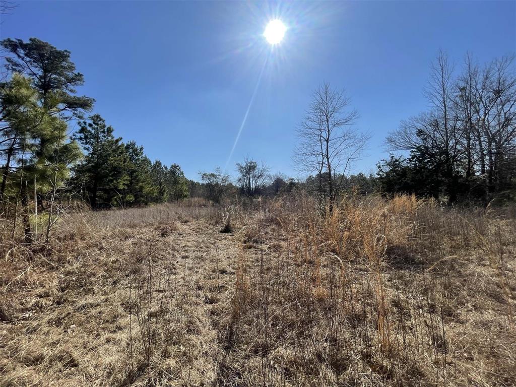 17584 Fm 1252 Property Photo 9