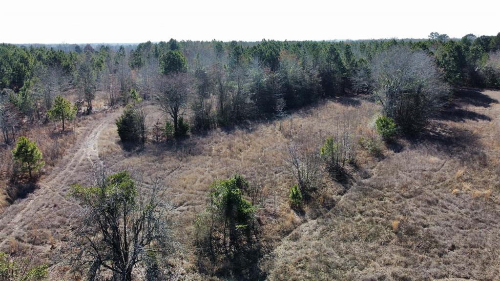 17584 Fm 1252 Property Photo 10