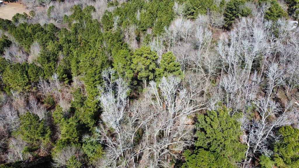 17584 Fm 1252 Property Photo 14