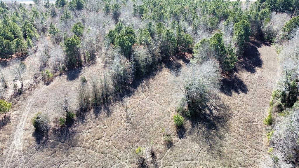 17584 Fm 1252 Property Photo 15