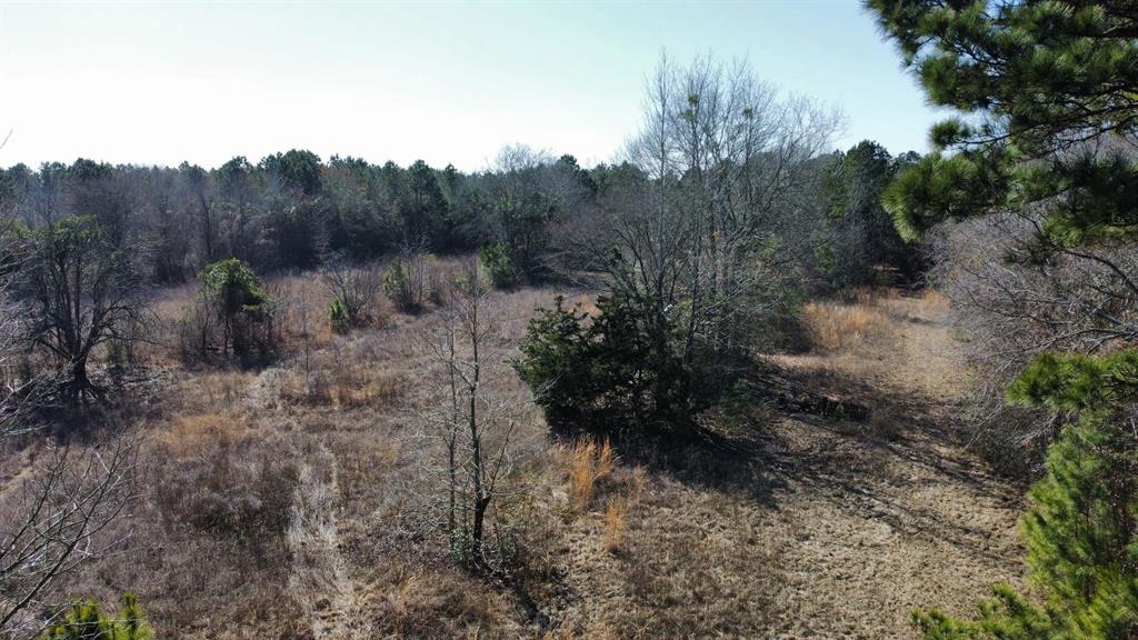 17584 Fm 1252 Property Photo 16