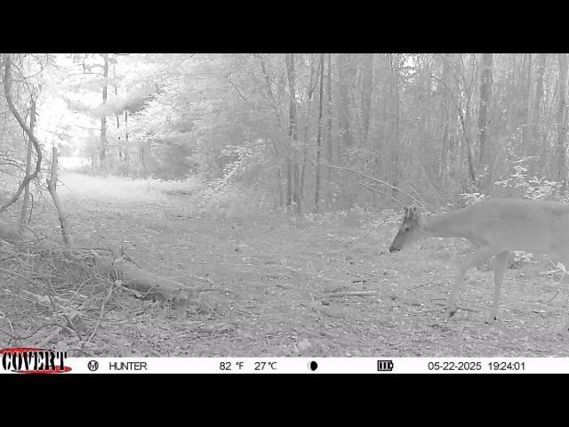 17584 Fm 1252 Property Photo 19