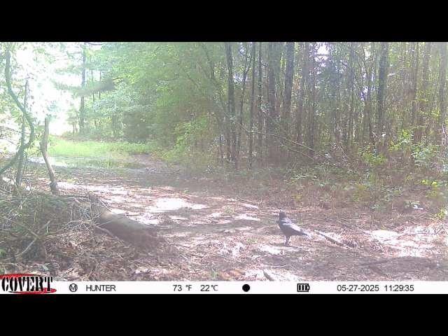 17584 Fm 1252 Property Photo 25