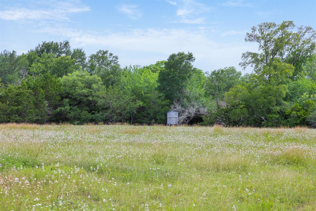 1505 Mcelroy Lane Property Photo 9