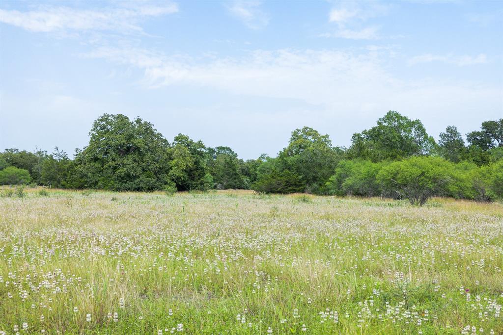 1505 Mcelroy Lane Property Photo 12