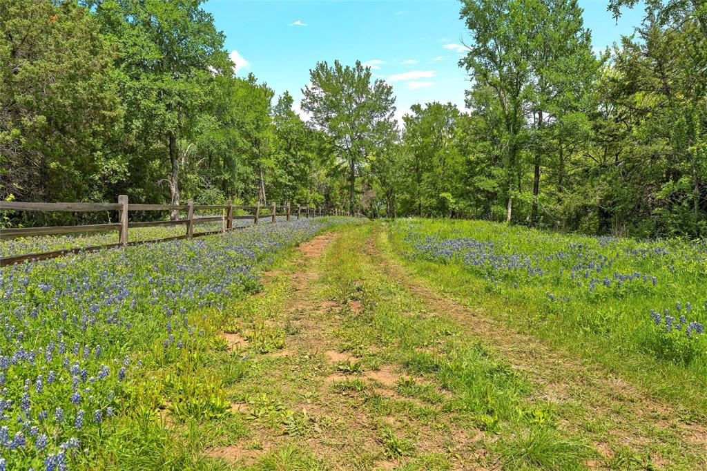 Lot 3 Keys On The Brazos Bunnyview Drive Property Photo 6