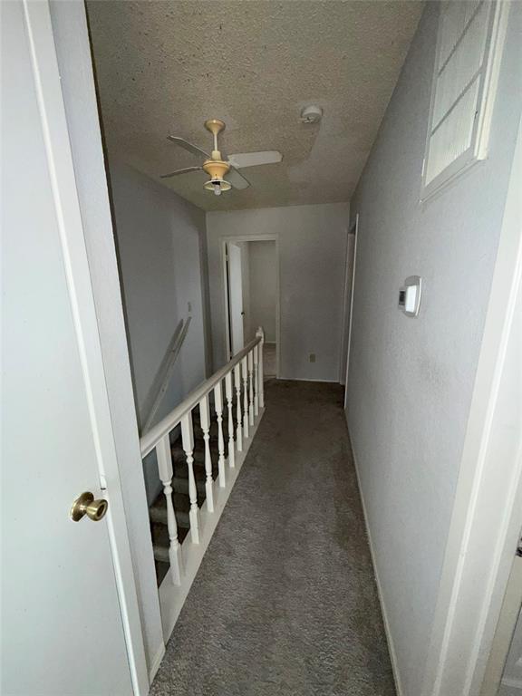 732 W Collins Street Property Photo 13