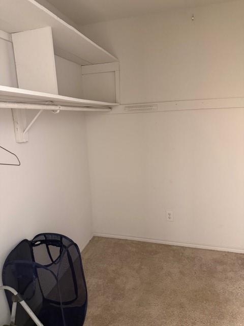 1053 Mary Street Property Photo 28