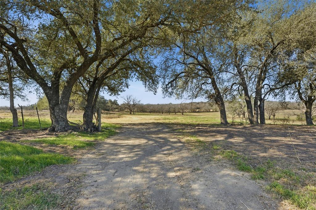 2375 Fm 935 Property Photo 6