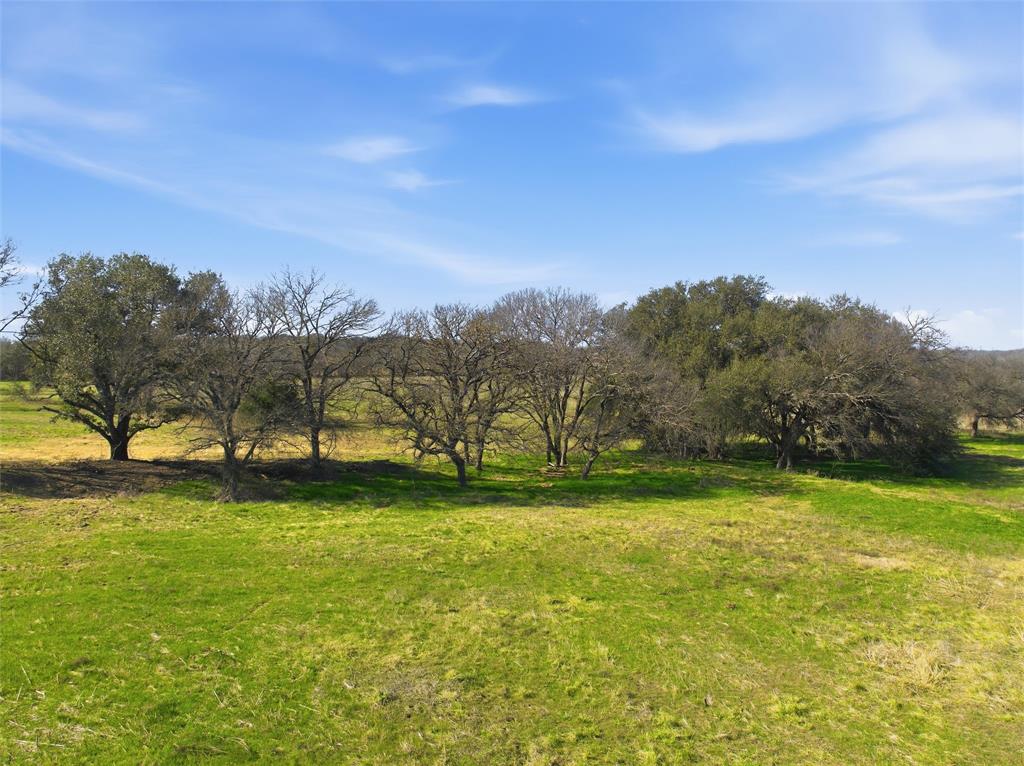 2375 Fm 935 Property Photo 9