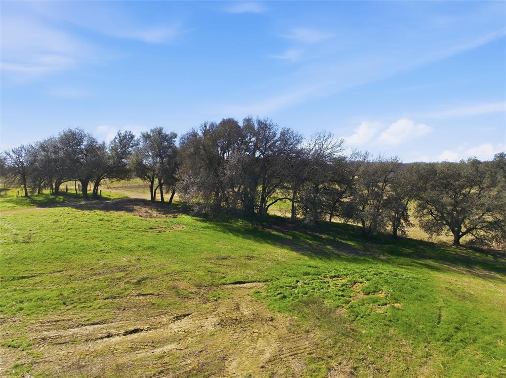 2375 Fm 935 Property Photo 16
