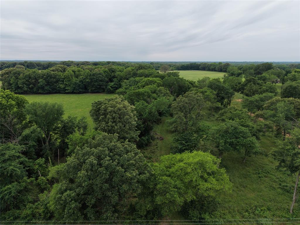 00 County Road 2437 Property Photo 2