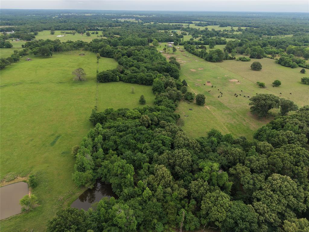 00 County Road 2437 Property Photo 9