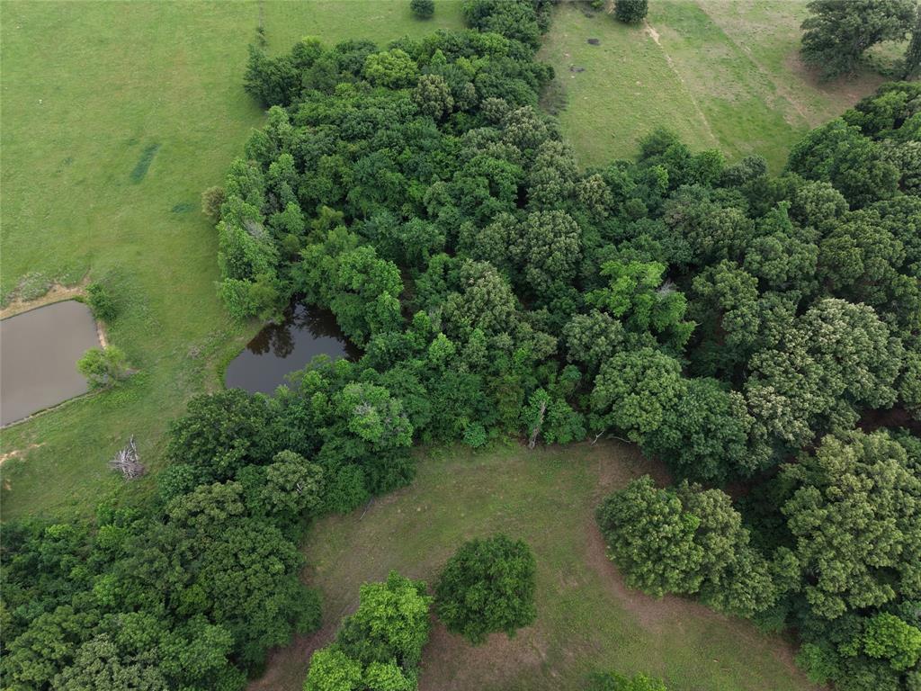 00 County Road 2437 Property Photo 10