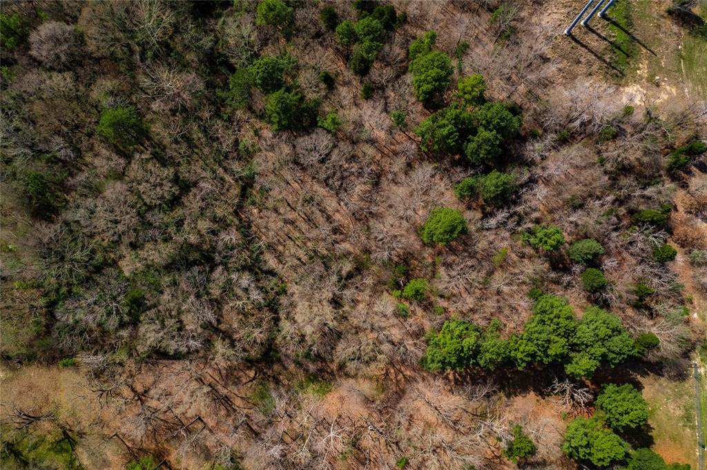Tbd Sandbog Property Photo 13