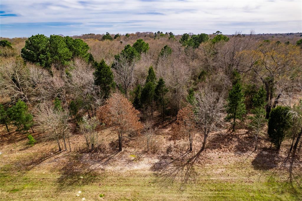 Tbd Sandbog Property Photo 26