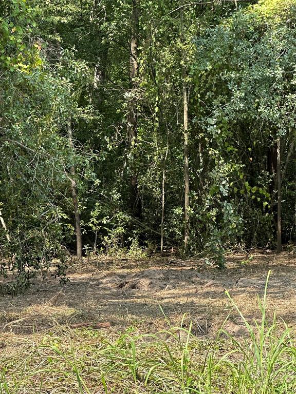Tbd Sandbog Property Photo 30