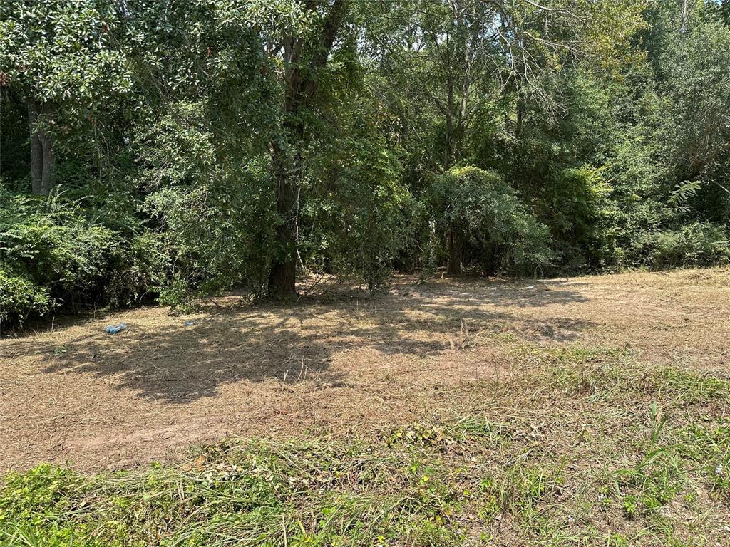 Tbd Sandbog Property Photo 32