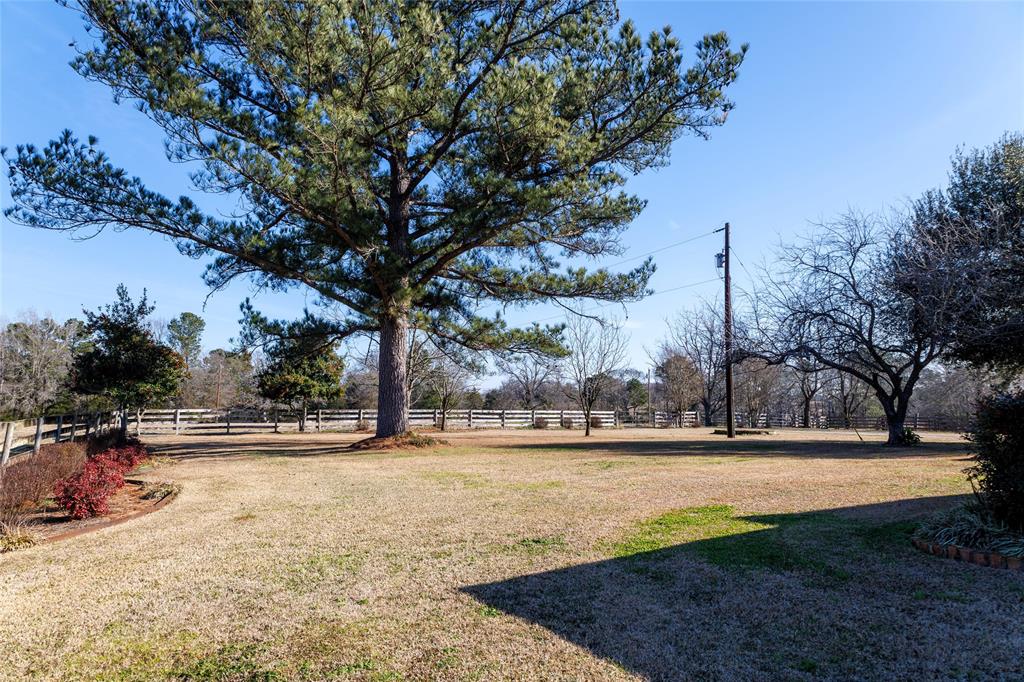 12987 County Road 452 Property Photo 37