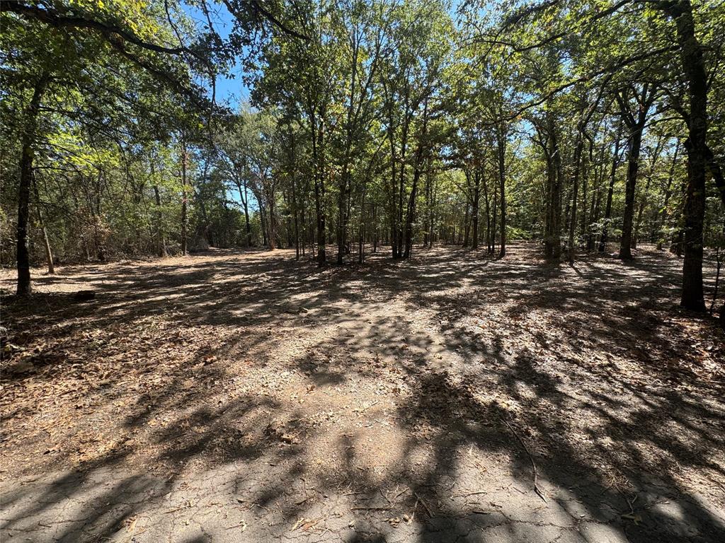 179 Rs County Road 2572 Property Photo 2