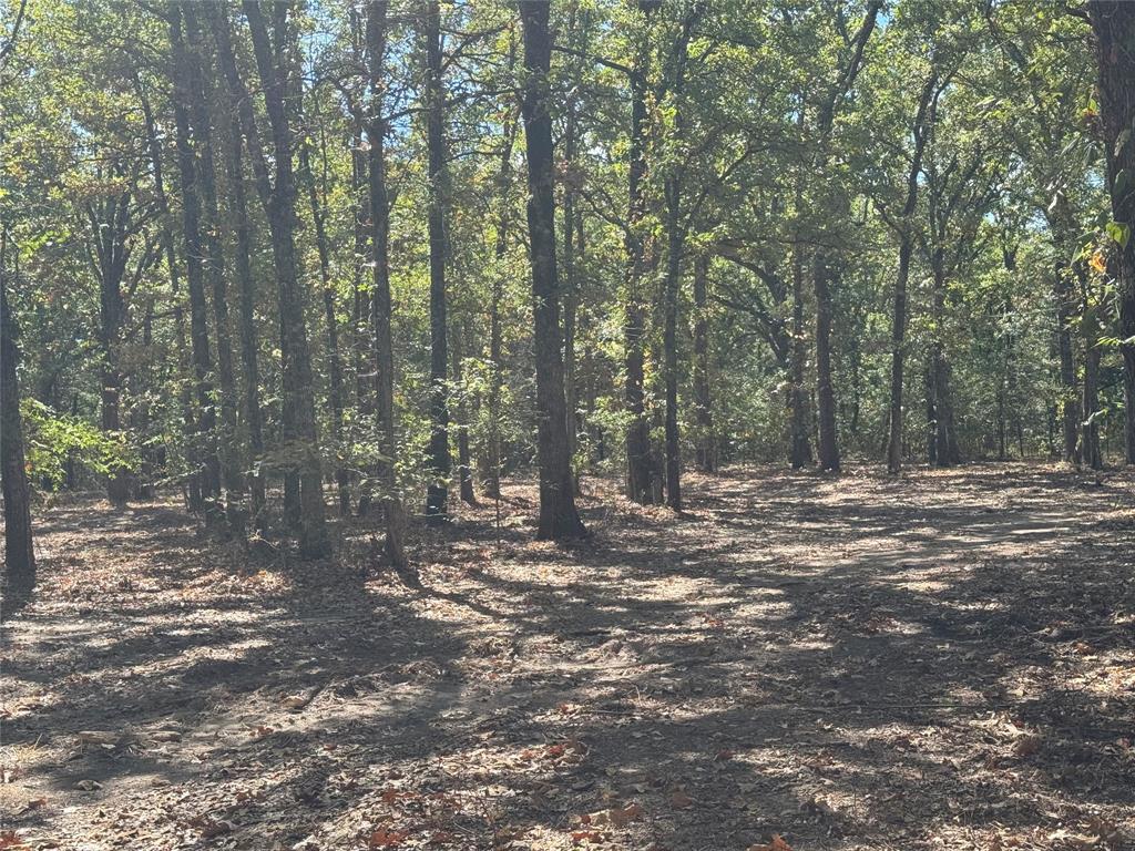 179 Rs County Road 2572 Property Photo 3