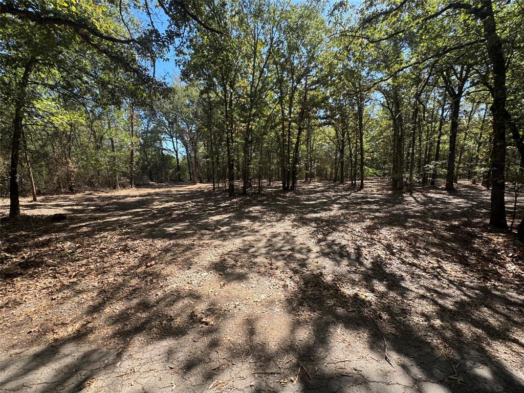 179 Rs County Road 2572 Property Photo 7